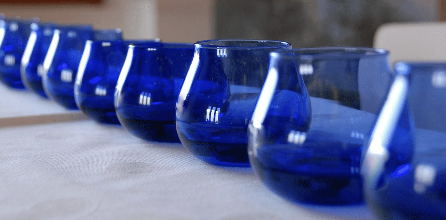A row of cobalt blue olive oil tasting cups on a desk during a professional tasting